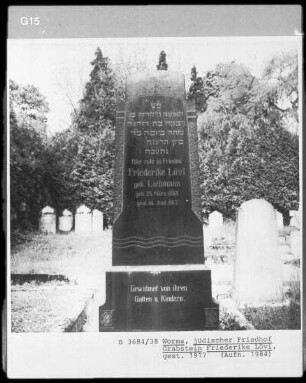 Grabstein von Friederike Lövi (gestorben 1917.06.14) (geborene Liebmann)