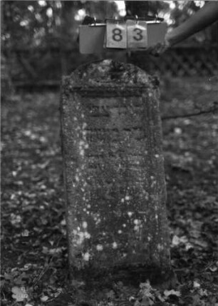 Grabstein 83 (Index: 99790588) Maße HxBxT: 87x40x18 cm: Grabstein 83 (Nachholaufnahme)