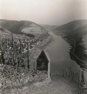Neef/Mosel. Blick vom Friedhof auf den Ort und die Mosel