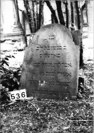 Grabstein 536 (Index: 99630037) Material: Sandstein Zustand: abgebrochen Maße HxBxT: 154x60x6 cm Beschreibung: Stele mit eingezogenem Rundbogenabschluß: Grabstein 536