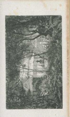 Une vue au milieu des ruines de Vien-Chan