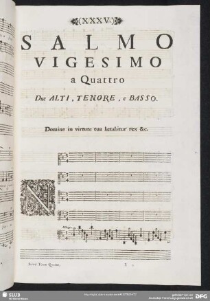 Salmo vigesimo