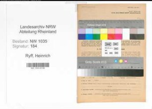Entnazifizierung Heinrich Ryff , geb. 18.06.1905 (Buchhalter)