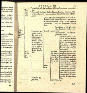Tabula XXI.