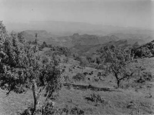 Gebirgssenke : Blick von einer Anhöhe auf die Senke von Gondar