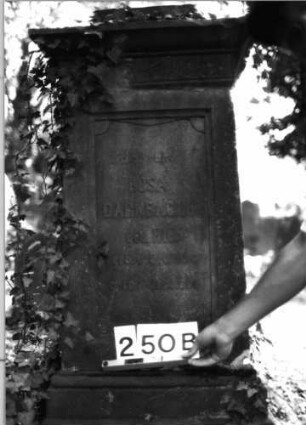 Grabstein 250 (Index: 100085077) Maße HxBxT: 162x60x58 cm Beschreibung: Stele, getreppter Sockel, Aufsatz, rechteckige Schriftfelder eingetieft: Grabstein 250B