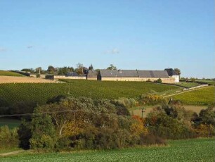 Domäne Neuhof; Eltville, Domäne Neuhof 1, Zeilweg, Paulinenberg, Domäne Neuhof, Beim großen Wolf