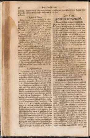 Das V. cap. Zaserich winter-gewächse