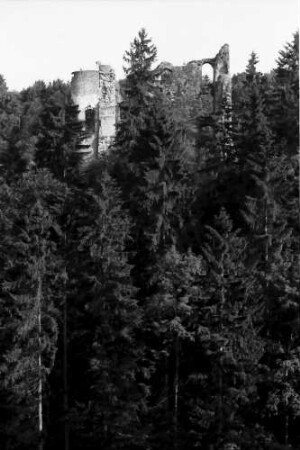 Herrenzimmern: Burg Herrenzimmern, seitlich von der Straße
