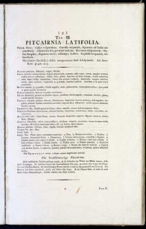 Tab. III. Pitcairnia Latifolia.