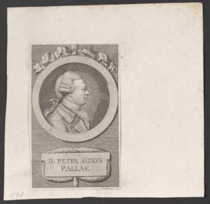 Porträt Peter Simon Pallas (1741-1811)