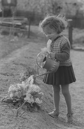 Ein kleines Mädchen gießt Blumen