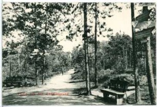 Radebeul. Lößnitzgrund