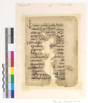 Ps. XXXVI, 39-40; Ps. XCI, 13-14; Ps. CXLIV, 10-11+ 19