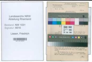 Entnazifizierung Friedrich Liesen , geb. 07.07.1892 (Lehrer)