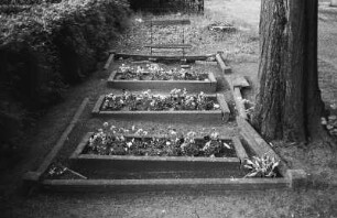 Berlin-Pankow : In Berlin-Pankow, Zionsfriedhof an der Blankenfelder Strasse; siehe auch 1764_08