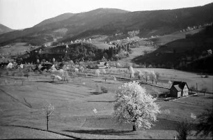 Simonswäldertal bei Untersimonswald mit Blütenbaum