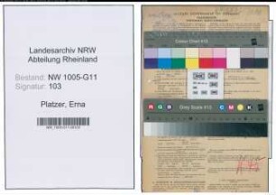 Entnazifizierung Erna Platzer , geb. 04.01.1906 (Kauffrau)