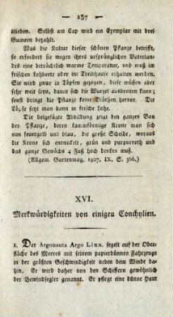 XVI. Merkwürdigkeiten von einigen Conchylien