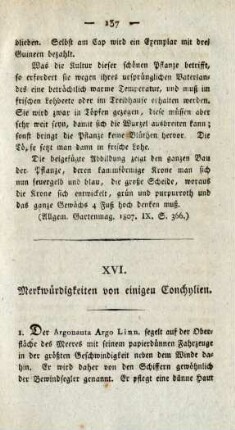 XVI. Merkwürdigkeiten von einigen Conchylien