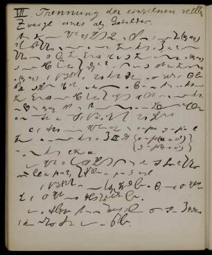 VII. [sic!] [stenographische Notizen]