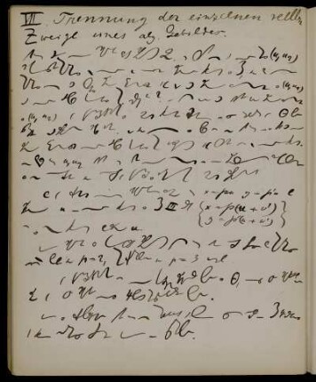 VII. [sic!] [stenographische Notizen]