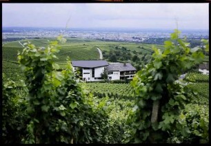 Neuweier: Hotel im Weinberg