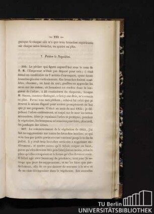 7. Pêcher le Napoléon.
