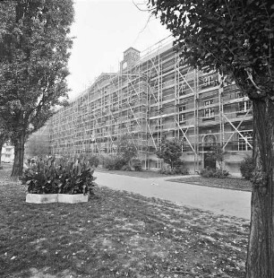 50jähriges Jubiläum der Tullaschule.