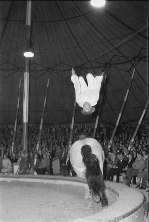 Fontners Reitertruppe, Darbietung der Kunstreiter. Zirkus Olympia? 1955