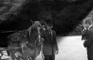 München: Englischer Garten, Fiaker, Pferd mt Kutsche, Entwicklungsfehler