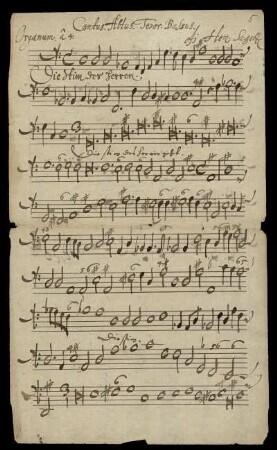 Organum.