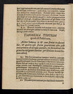 Theorema Tertium quod est Positivum.