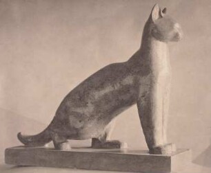 Katze