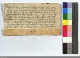 Frater Ganfredus, O. Praed., eps. Ebronensis verspricht allen, die die Elisabethkirche in Marburg zu ihrer Einweihung besuchen und beschenken, ein...