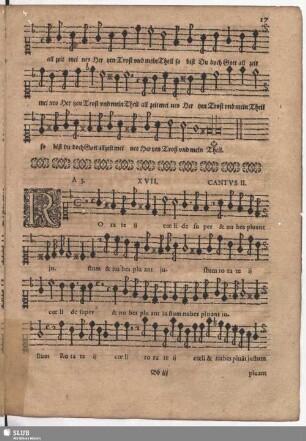 XVII Rorate coeli
