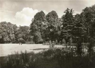 Dresden. Schloss Eckberg. Parkwiese