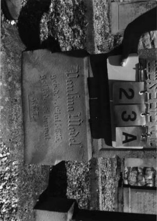 Grabstein 23 (Index: 99796585) Material: Sandstein Zustand: gut Maße HxBxT: 91x41x17 cm Beschreibung: Stele, getreppter Sockel, Konvexbogenabschluß, Schrift eingetieft Symbolik: geknickte Rose: Grabstein 23A