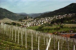 Kappelrodeck: Weinberg von Waldulm mit Blick auf Kappelrodeck