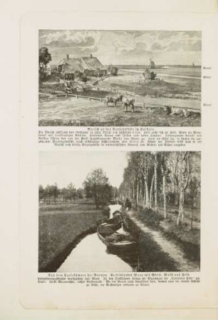 Aus dem Teufelsmoor bei Bremen. Kultiviertes Moor mit Wiese, Wald und Feld