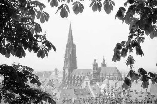 Freiburg i. Br.: Blick vom Schlossberg zum Münster
