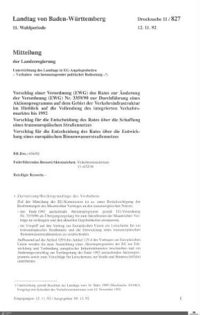 Transeuropäisches Straßennetz
