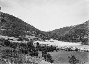 Getreidefelder : Blick über Getreidefelder, an den Hängen Weiden, Ölbäume und Macchie.