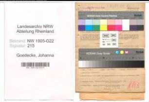 Entnazifizierung Johanna Goedecke , geb. 22.04.1914 (Metzgerin)