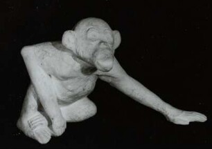 Affe (eigentlich"Rhesusaffe")