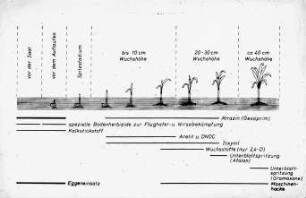 Schemazeichnung: Arbeitsverfahren, Pflanzenschutz, Unkrautbekämpfung
