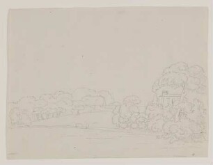 Landschaft mit zwei Kühen
