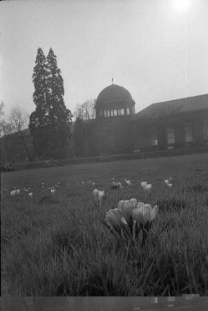 Frühlingstag im Botanischen Garten