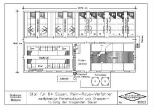 Stall für 64 Sauen, Rein-Raus-Verfahren (zweiphasige Ferkelaufzucht und Gruppenhaltung der tragenden Sauen)