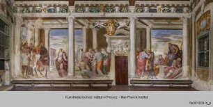 Villa Porto Colleoni; Salone del camino